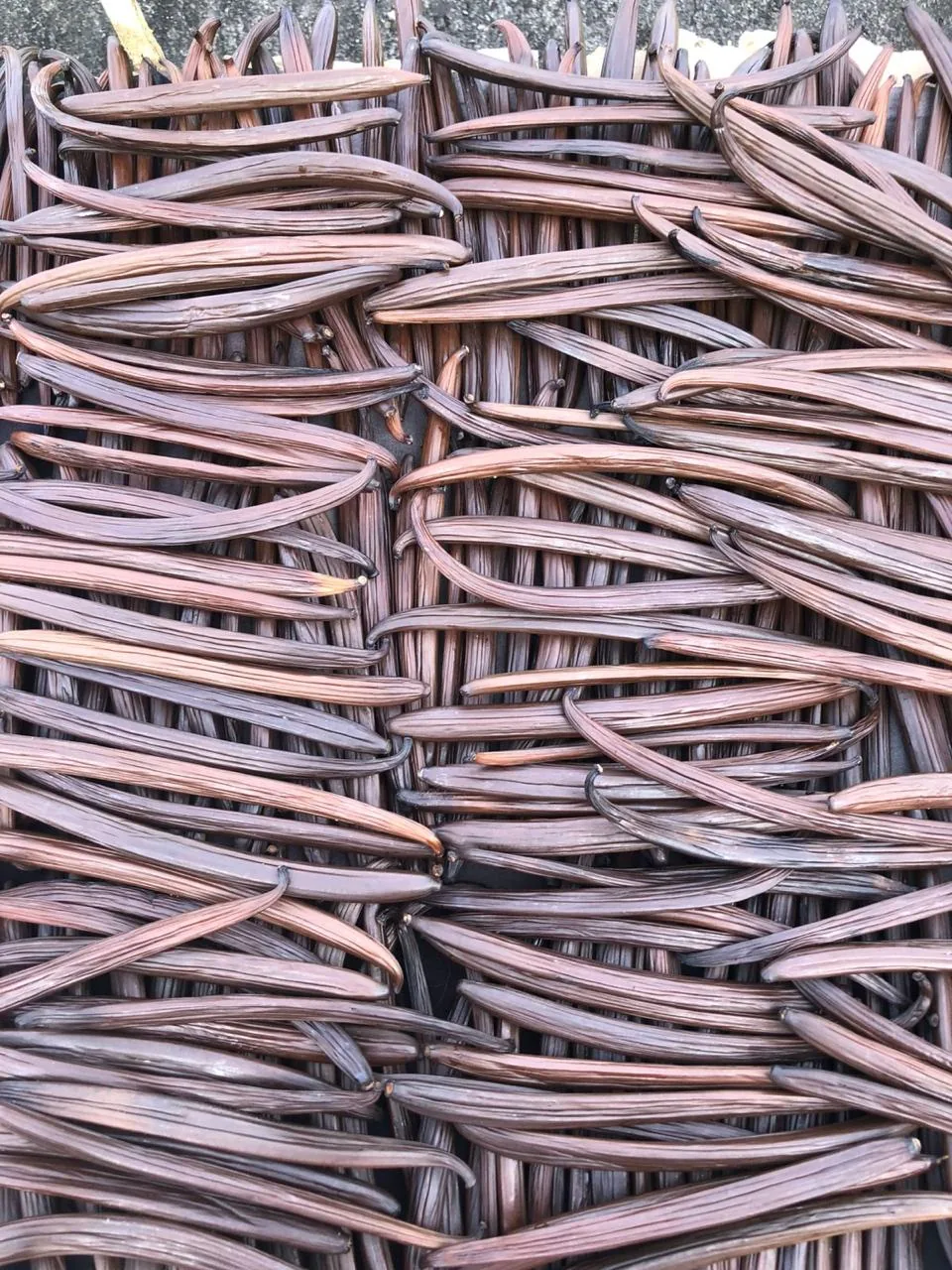 Vanilla pods drying on woven trays
