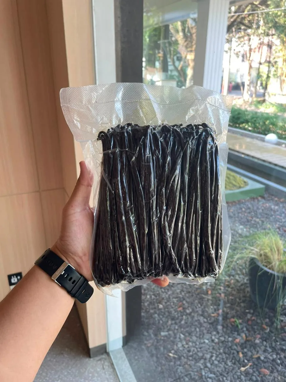 Vacuum-sealed bag of vanilla beans, held up to the light