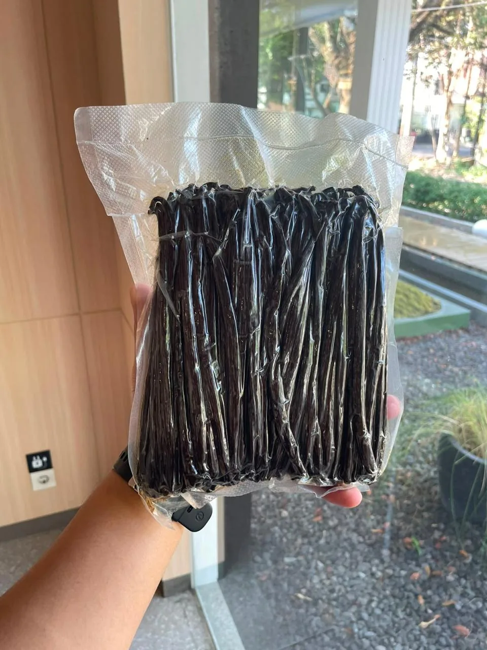 Vacuum-sealed bag of vanilla beans, held by the window